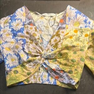 Zara Multicolor Floral Crop Top